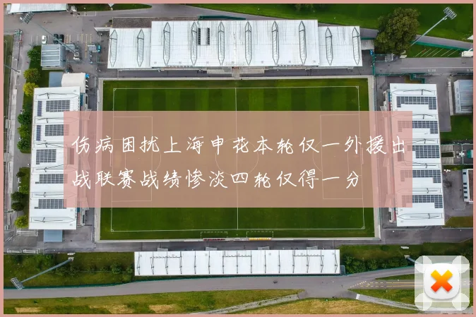 伤病困扰上海申花本轮仅一外援出战联赛战绩惨淡四轮仅得一分